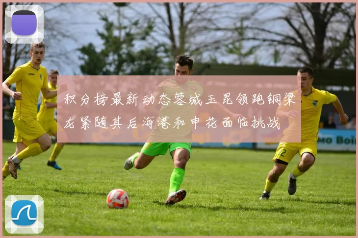 积分榜最新动态蓉城玉昆领跑铜梁龙紧随其后海港和申花面临挑战