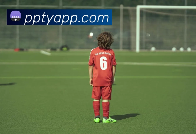 PP体育APP平台生态图